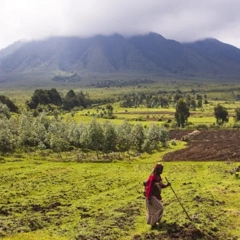 VIRUNGA-PARK.jpg